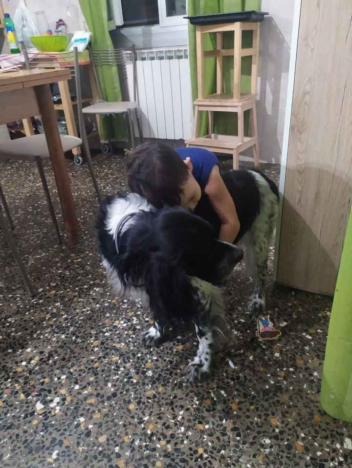 Giornata mondiale d 🐶🐕🐕 - 1