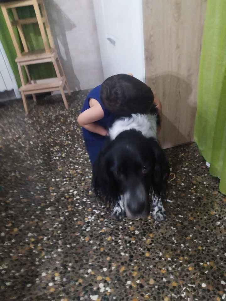 Giornata mondiale d 🐶🐕🐕 - 2