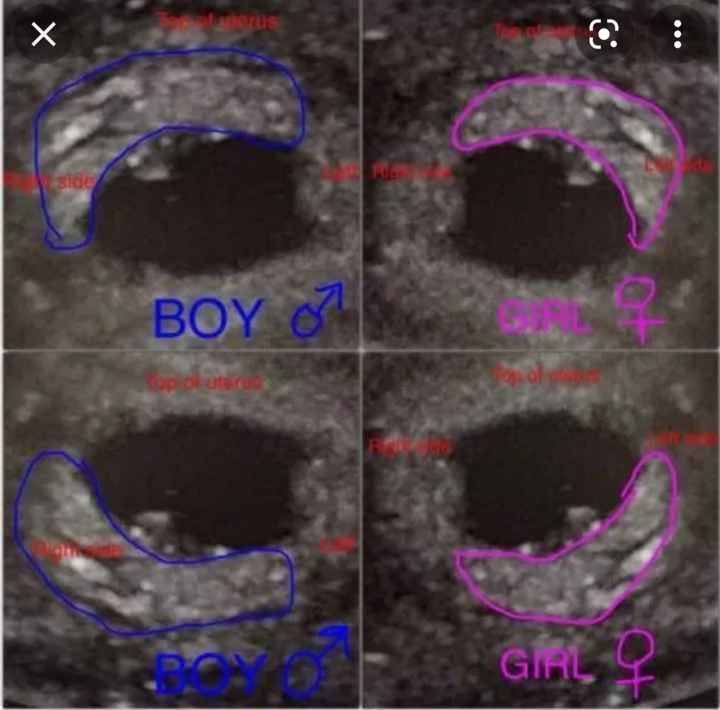 💙💜future mamme di Maggio 2022💙💜 1