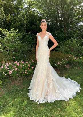 Collezione Delsa 2022 - 62