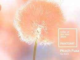 Colore Pantone 2024 - 1