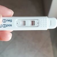 Chi non le aspetta per Maggio 2020 - 1