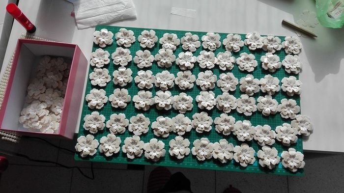 fiorellando senza sosta!