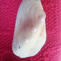 Tema mare fai da te! - 1