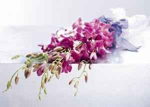 Bouquet orchidee - 8