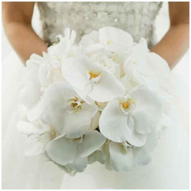 Bouquet orchidee - 10