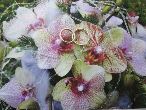 Bouquet orchidee - 11