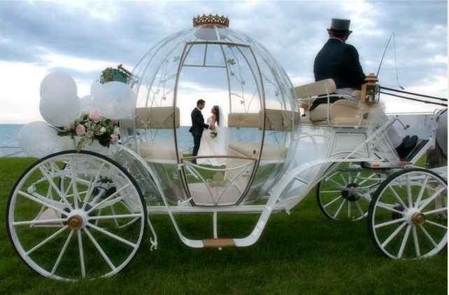 Cavallo e carrozza di cenerentola - 1
