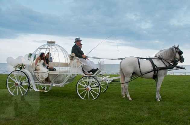 Cavallo e carrozza di cenerentola - 5