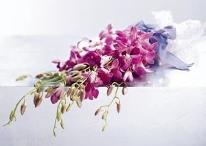Bouquet orchidee - 8