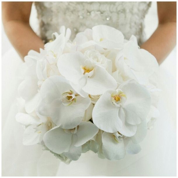 Bouquet orchidee - 10