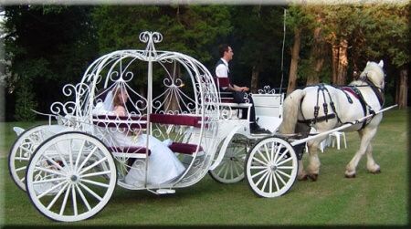 Cavallo e carrozza di cenerentola - 3