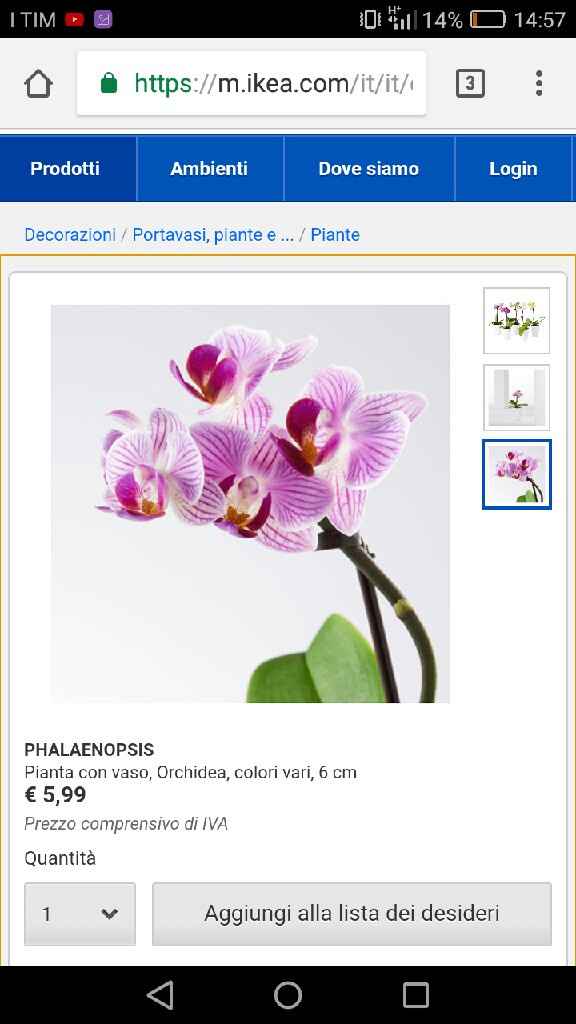  Pareri bomboniera? - 1