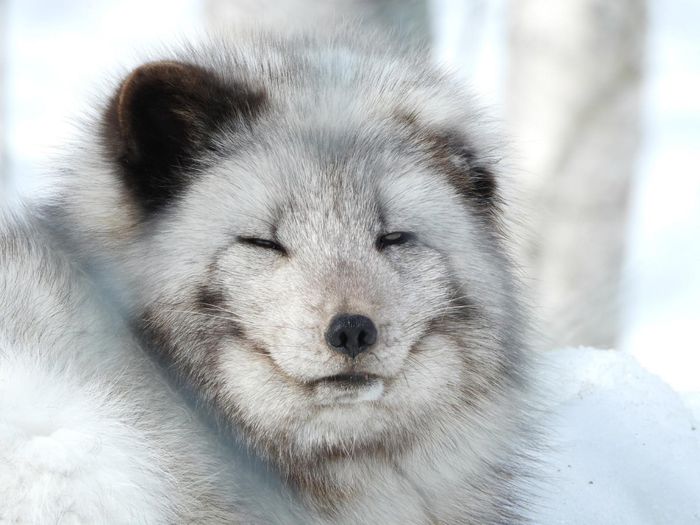 Viaggio di nozze - 2