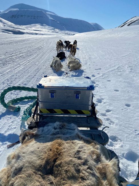 Viaggio di nozze - 3