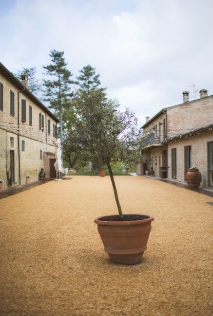 Location matrimonio intimo, circa 15 persone 3