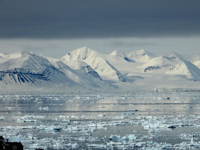 Viaggio di nozze in Crociera - 1