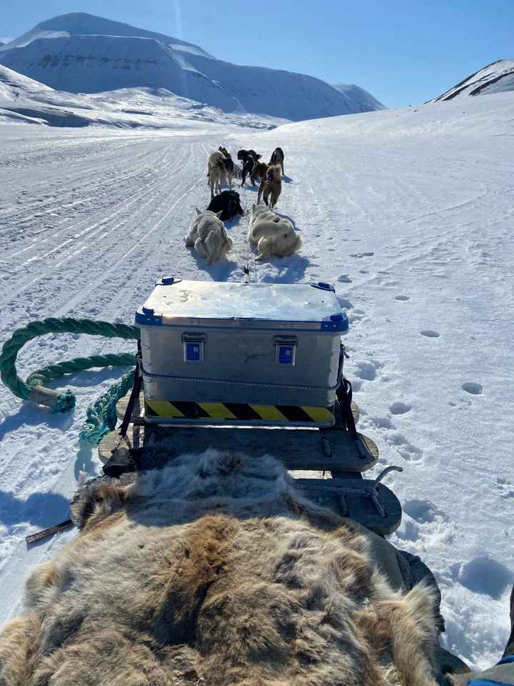 Viaggio di nozze - 3