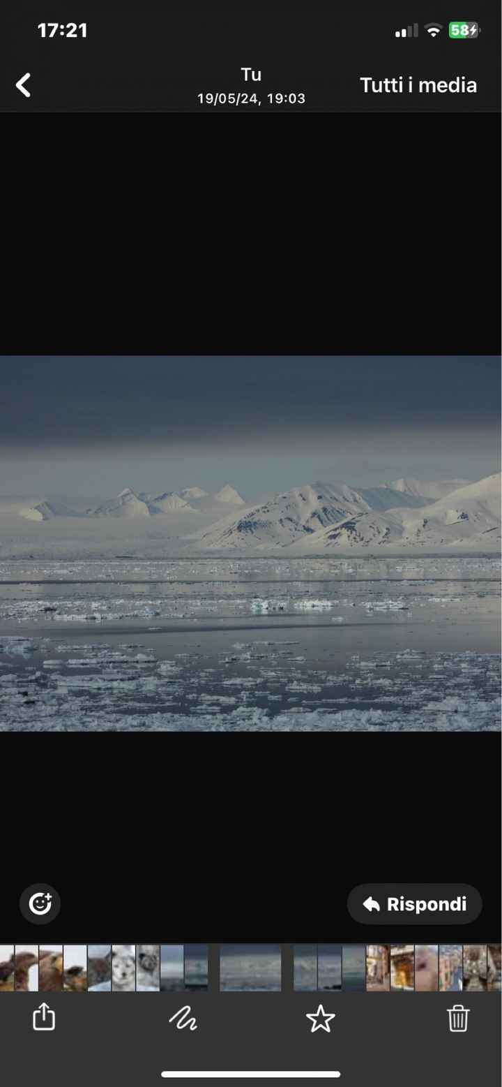 Viaggio di nozze nei paesi freddi - 2