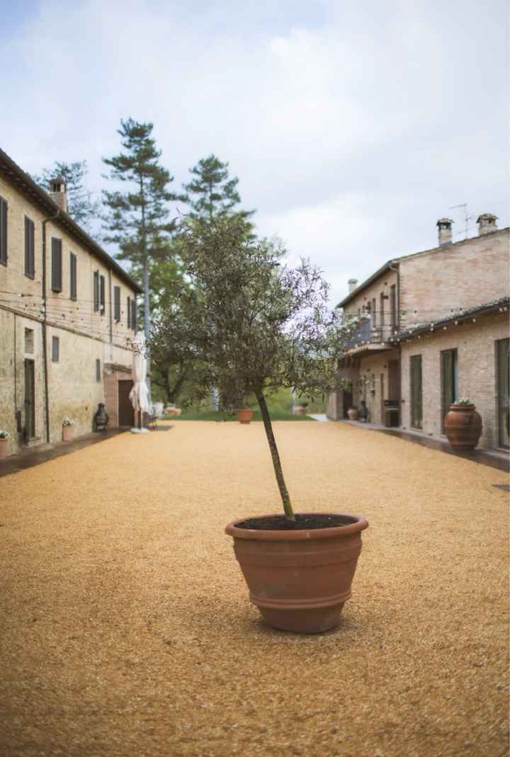 Location matrimonio intimo, circa 15 persone - 3