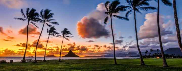 I tappa Oahu - Hawaii