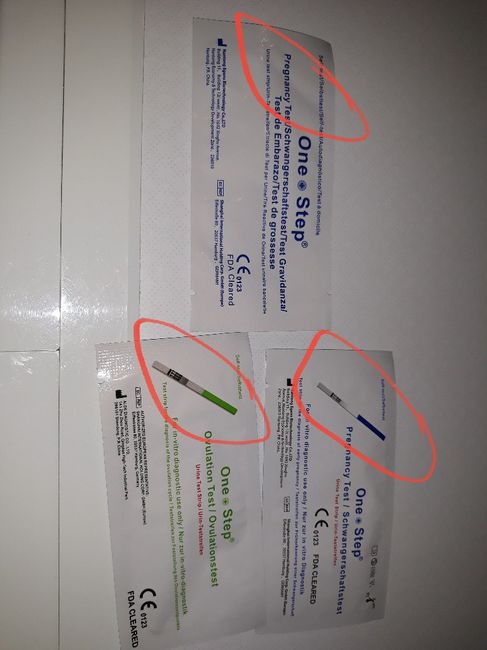 Sondaggio test di ovulazione 1