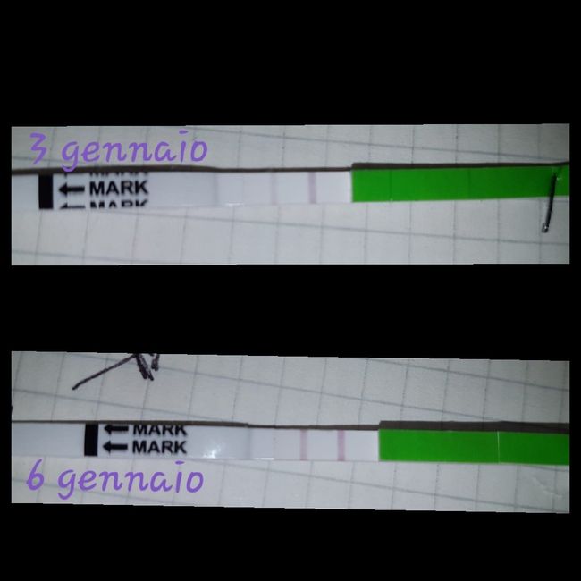 Ho bisogno di un consiglio urgente 2