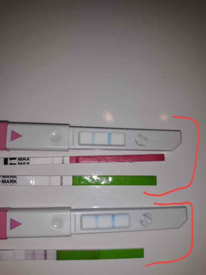  Clear blue e stick canadesi..aiuto!!!! - 1
