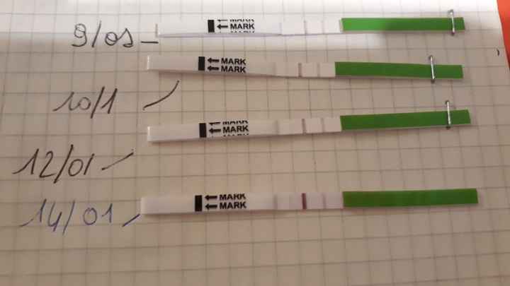 Future mamma settembre 2019 - 1