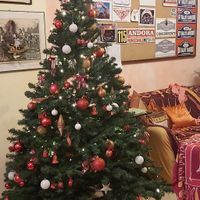 Avete mai fatto l'albero insieme? - 1