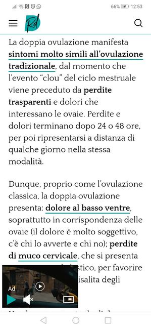 Per chi non le aspetta per febbraio 2020 - 5