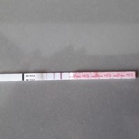 Per chi non le aspetta per febbraio 2020 - 1