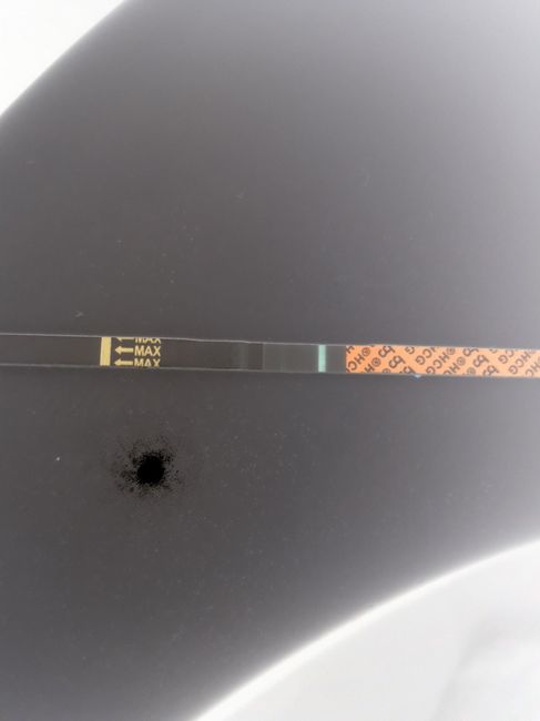 Test di gravidanza canadese...quando farlo? - 1