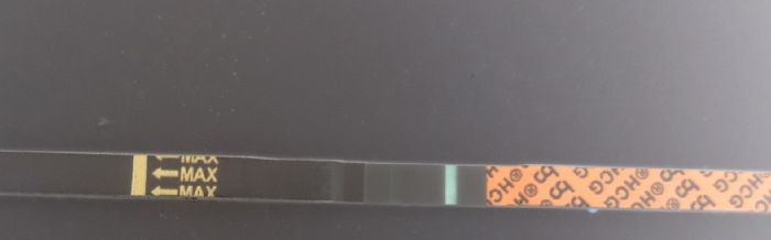 Test di gravidanza canadese...quando farlo? 4