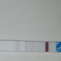 Test di gravidanza canadese...quando farlo? - 2