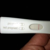 Test di gravidanza canadese...quando farlo? - 1