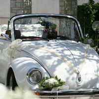 Maggiolone bianco o nero? - 1