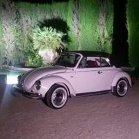 Maggiolone bianco o nero? - 4