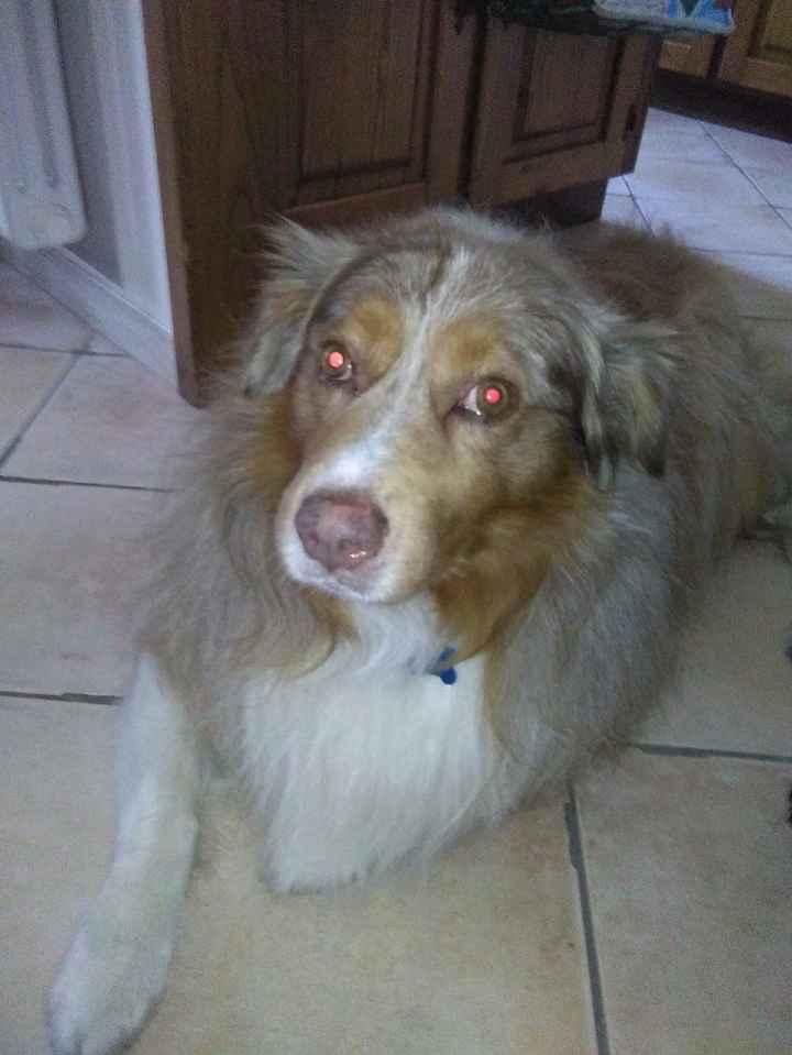 Portatore di fedi 😄