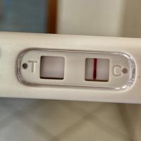 Chi non le aspetta per Maggio 2020 - 1