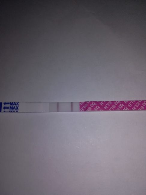 Chi non le aspetta per Aprile 2020 - 1