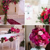 Matrimonio tropicale - 1