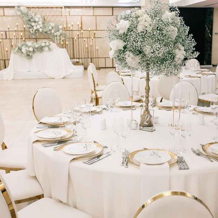 Fiore “velo da sposa” : Economico o costoso??? - 4