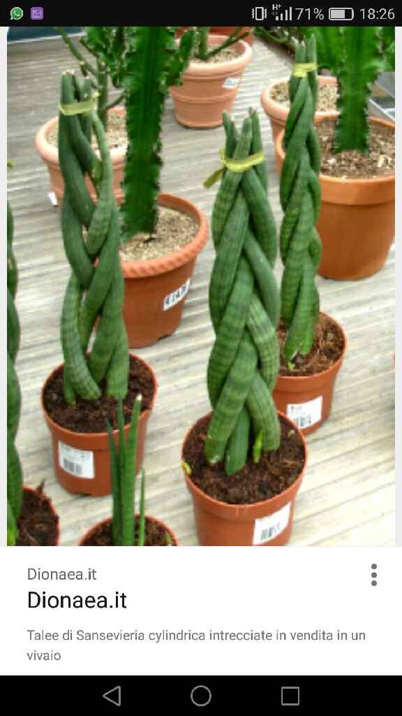  Bomboniere... Finalmente - 1