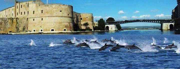 Taranto: la città dei delfini...