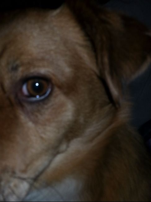 ol mio testimone haha