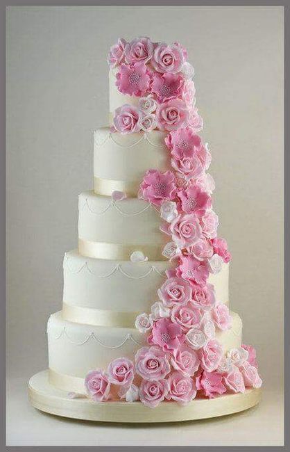 Torte qual'è  la più  bella?