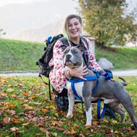 Amici a 4 zampe: come li gestirete il grande giorno? - 1