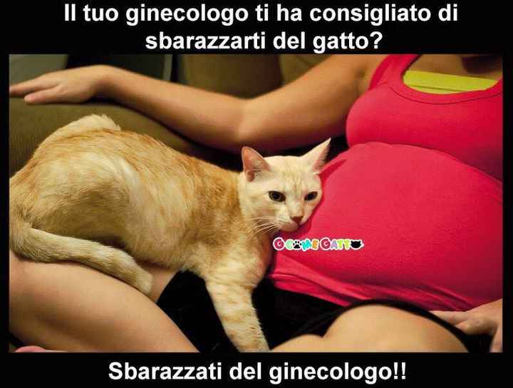 Un po' troppo triste!!! paura della toxo - 1