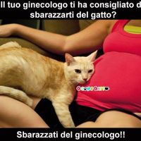 Un po' troppo triste!!! paura della toxo - 1